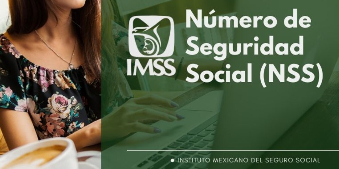 Así es como puedes recuperar tu NSS.