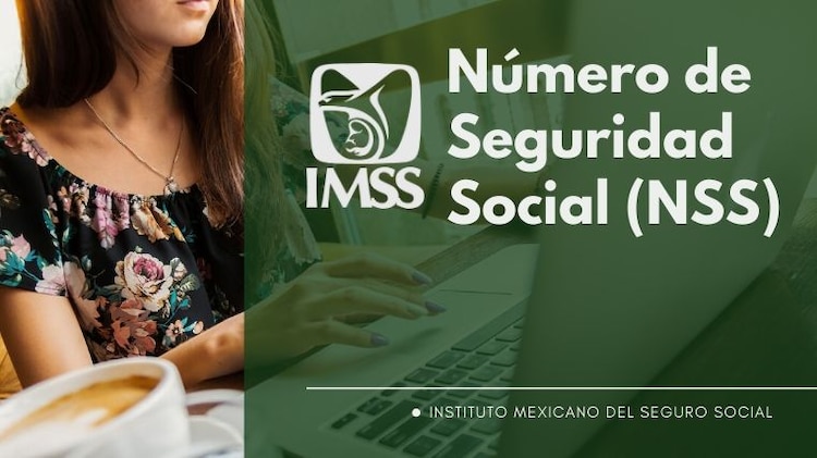 Así es como puedes recuperar tu NSS.