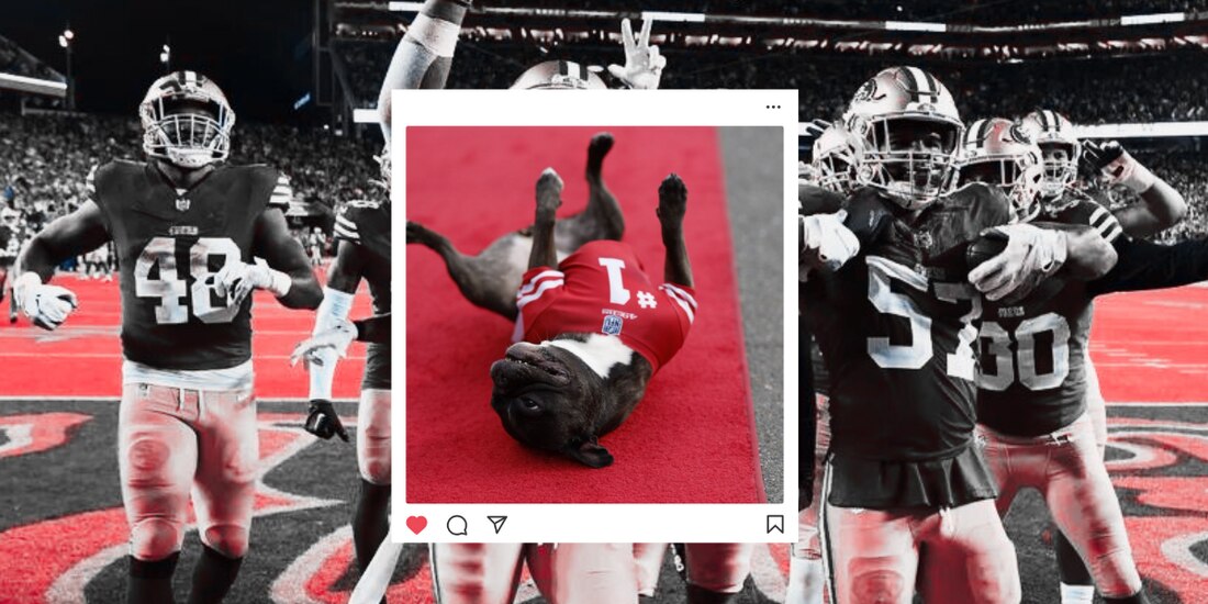 Zoe, la perrita de apoyo emocional de los 49ers de San Francisco