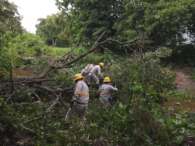 Técnicos de la CFE realizan labores para restablecer el servicio eléctrico en zonas afectadas.