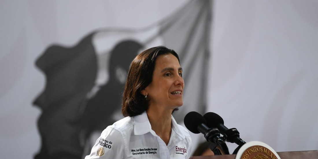 Luz Elena González Escobar, secretaria de Energía.
