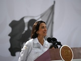 Luz Elena González Escobar, secretaria de Energía.