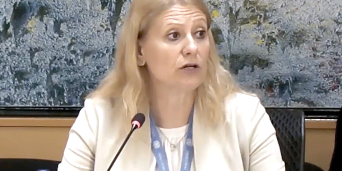 La presidenta del Grupo de Trabajo de Naciones Unidas, Ivana Krstić, en imagen de archivo