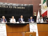 Comparecencia de Jorge Alcocer Varela, secretario de Salud; asiste el director del insabi, Juan Antonio Ferrer Aguilar.