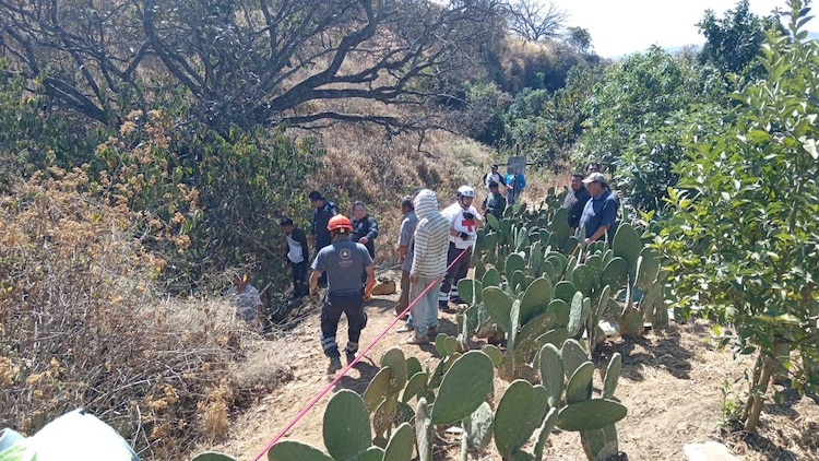 Vuelca camión de pasajeros en la Curva del Diablo