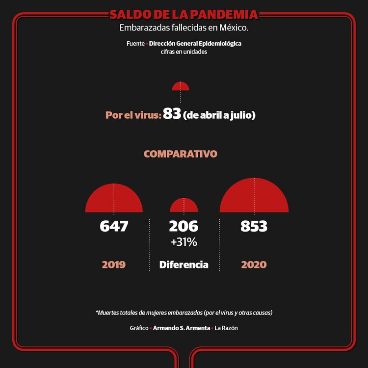 Mujeres embarazadas que han muerto en la pandemia.