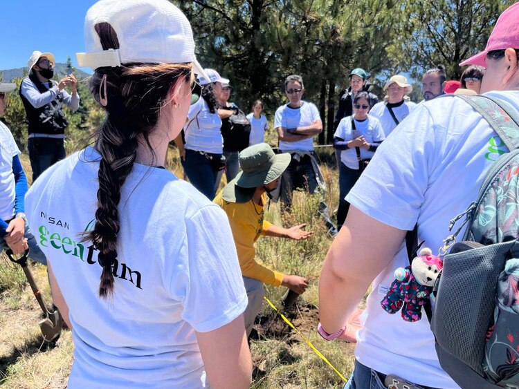 Desde 2018, Nissan Mexicana ha contribuido con la reforestación de más de 4.5 hectáreas.