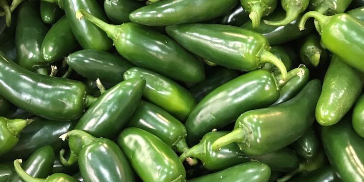 Investigan empacadora de jalapeños en Nuevo León