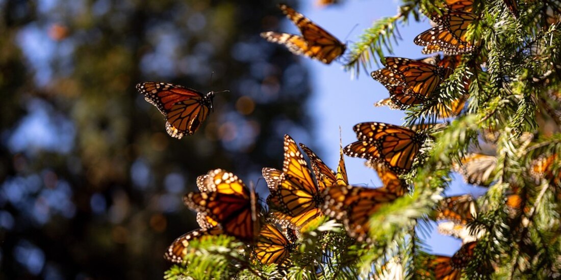Santuario ubicado en el Estado de México.