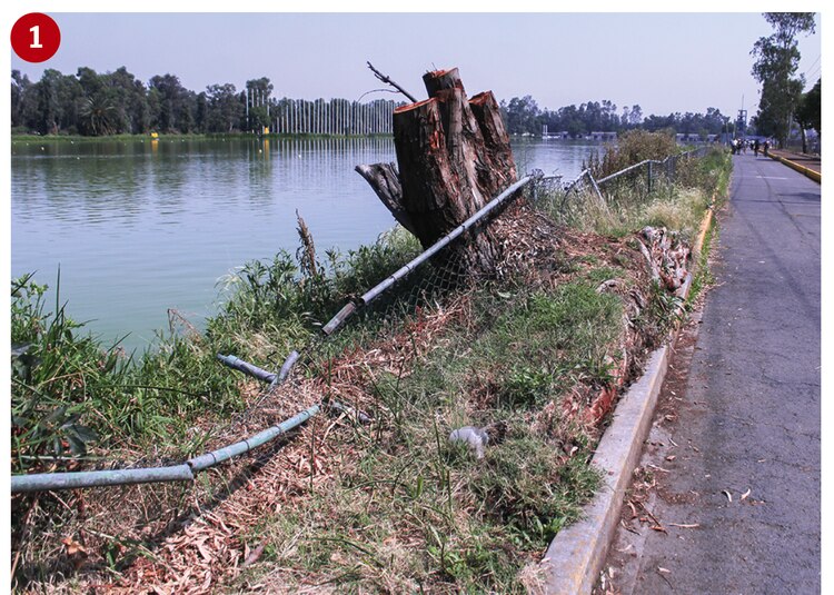 Las cercas que bordean la pista, caídas.