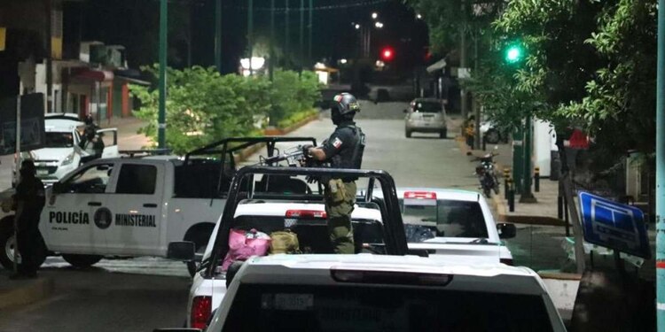 Dicha acción se realizó en coordinación con elementos del Ejército Mexicano y de la Guardia Nacional.