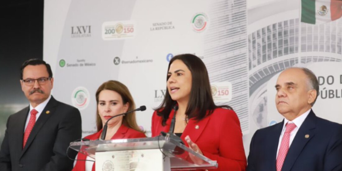 La senadora tricolor Karla Toledo, el pasado 11 de febrero, en conferencia de prensa.
