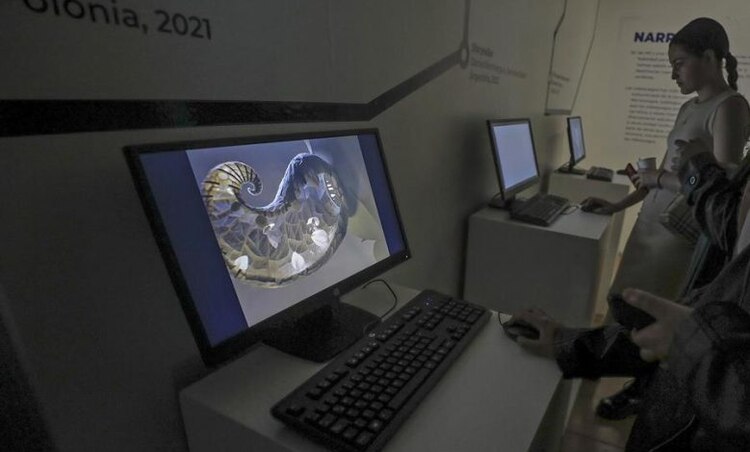 Los mejores eventos en la CDMX del 12 al 14 de mayo.