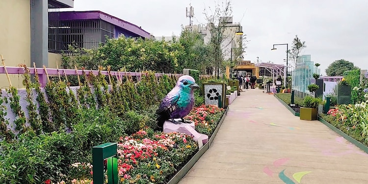 La estatua de un Mirlo Azteca, ave endémica de bosques de México.