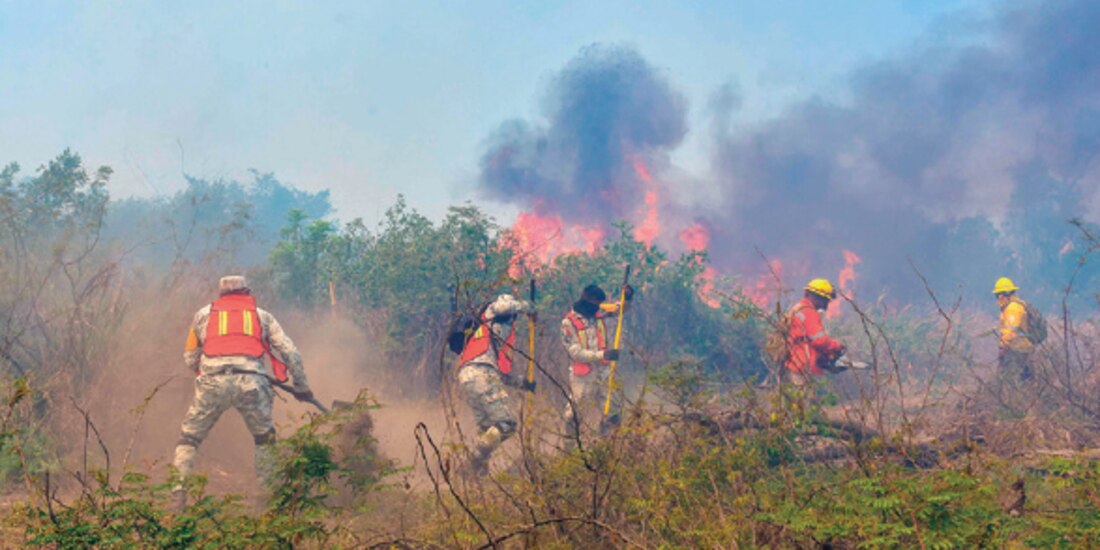 Elementos de la GN combatieron un incendio el 3 de marzo en Guerrero.