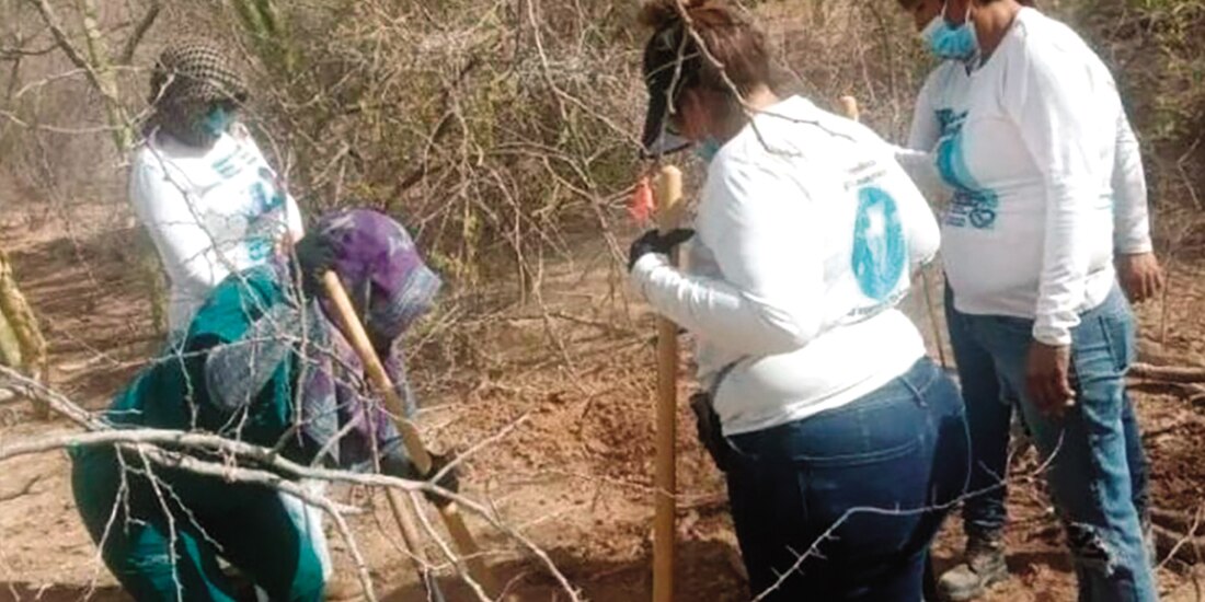 Buscadoras en Sonora en enero pasado cuando localizaron restos.