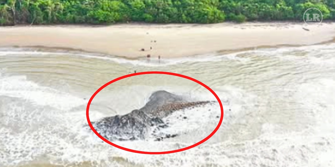Aparece volcán de lodo en Trinidad y Tobago después de los sismos en Venezuela