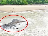 Aparece volcán de lodo en Trinidad y Tobago después de los sismos en Venezuela