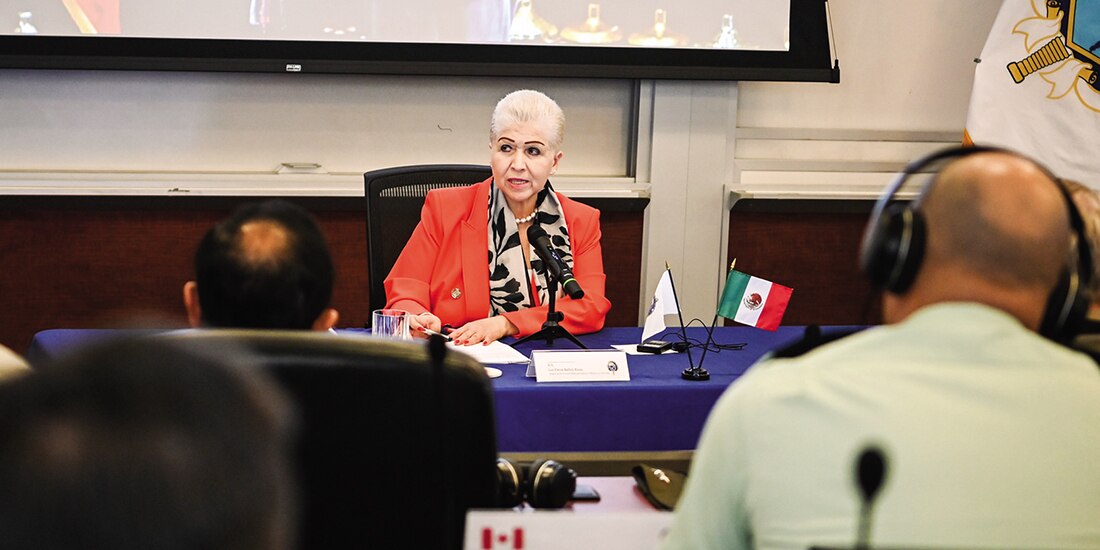 Luz Elena Baños, representante de México en la OEA, ayer en sesión de la organización.