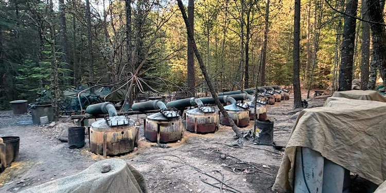 EL NARCOLABORATORIO clandestino asegurado por las autoridades el 18 de abril.