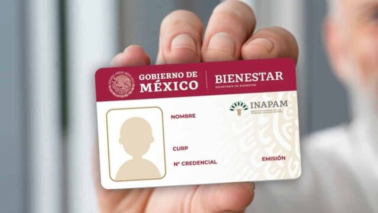 Tarjeta INAPAM como opción a identificación oficial