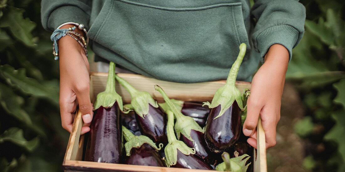 Descubre todo lo que puede hacer la berenjena por tu organismo.