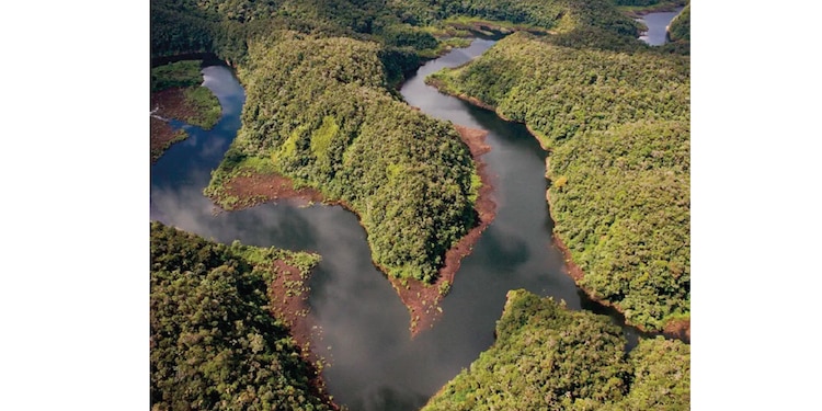 Gran mal. Joca Reiners Terron