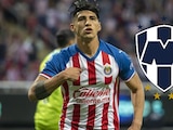 Alan Pulido actualmente milita en la MLS