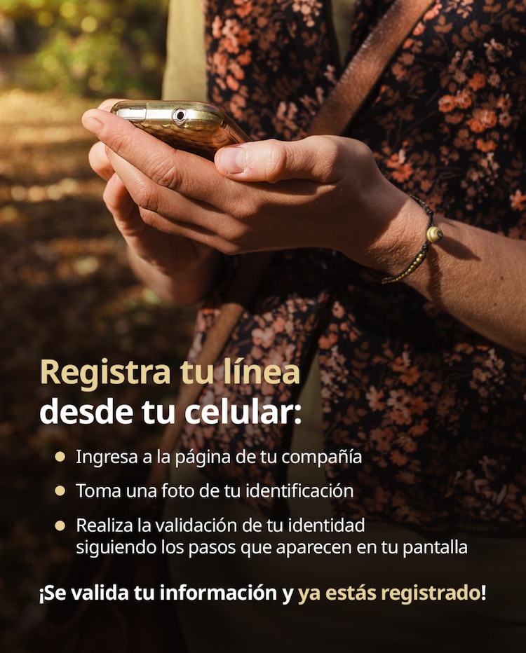 Registro de línea telefónica