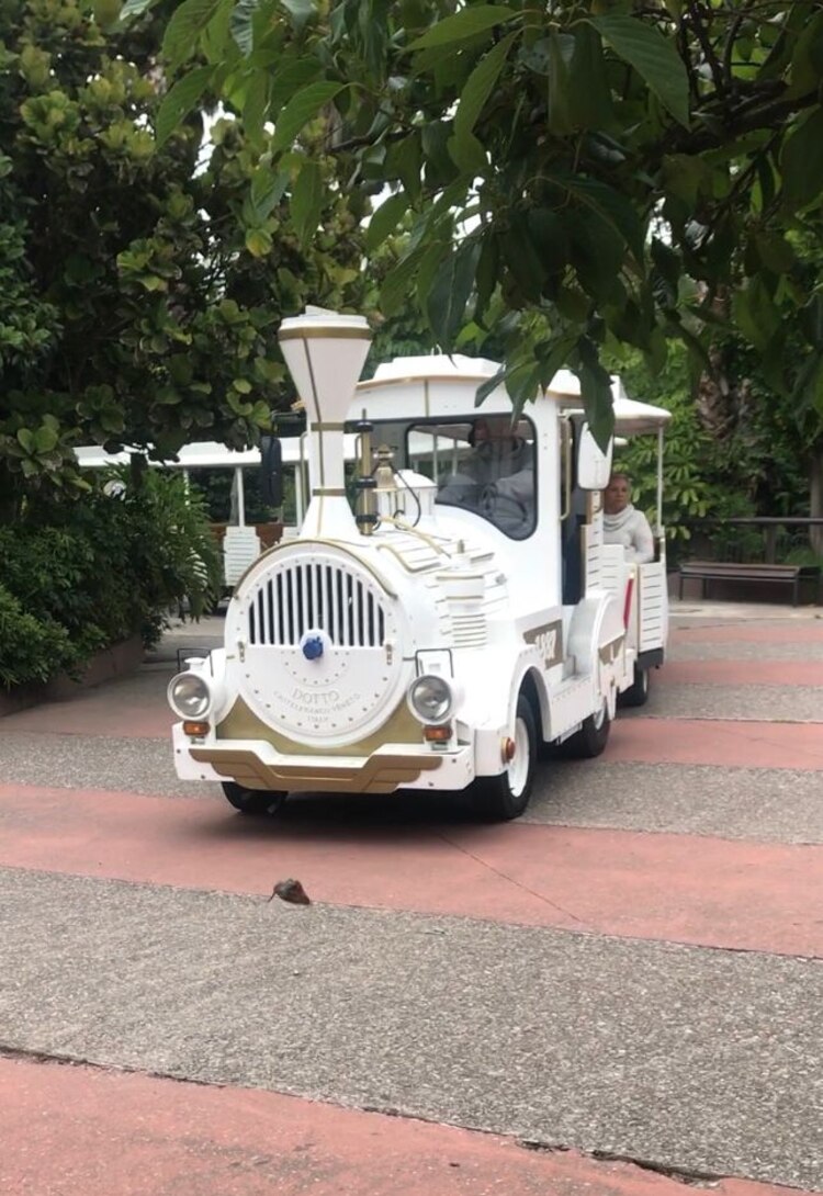 Paseo en tren por el zoológico de Aragón