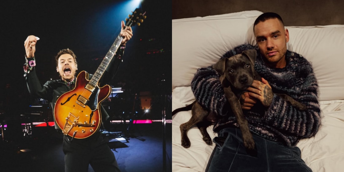 Harry Styles y Liam Payne