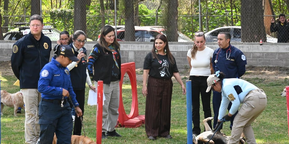 Clara Brugada, constató que los animales cumplen con los cinco dominios del bienestar animal