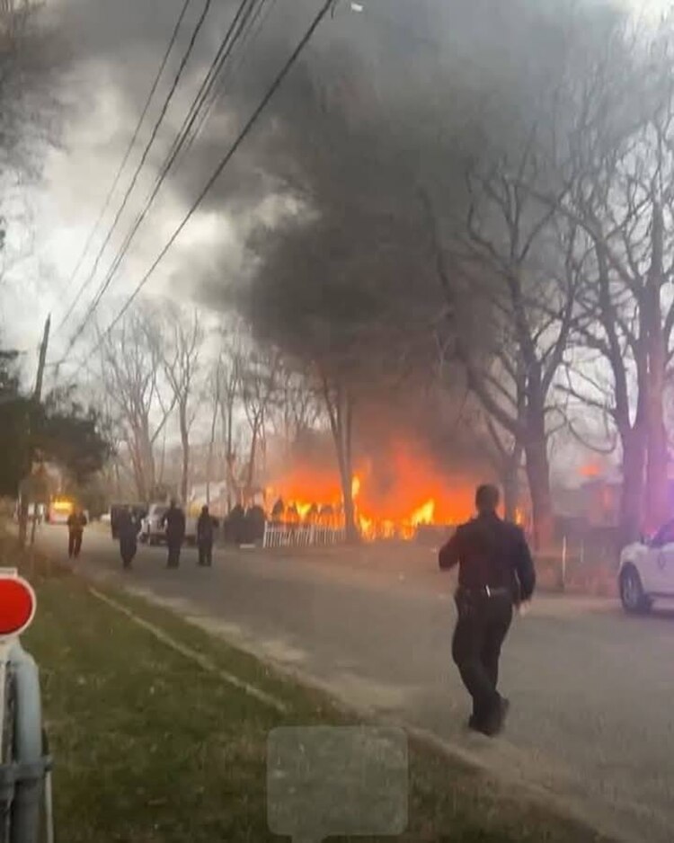 El incendio cobró la vida no sólo del responsable de rescatar a estos gatitos, sino también de más de 100 michis.