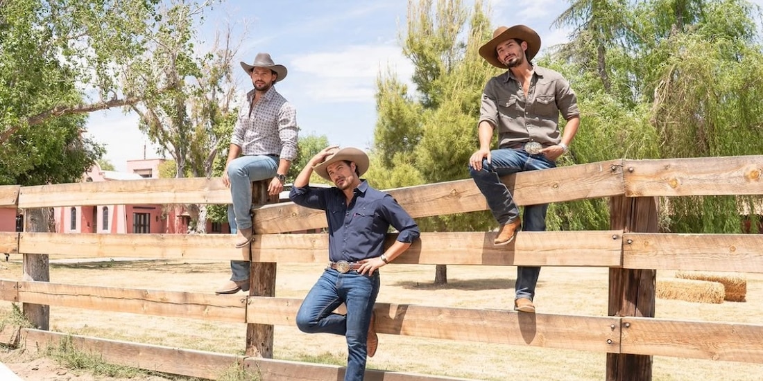 Tierra de amor y coraje: ¿De qué novela es remake la serie mexicana?