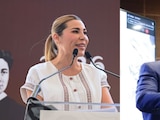 Senador del PAN pide renuncia de Marina del Pilar