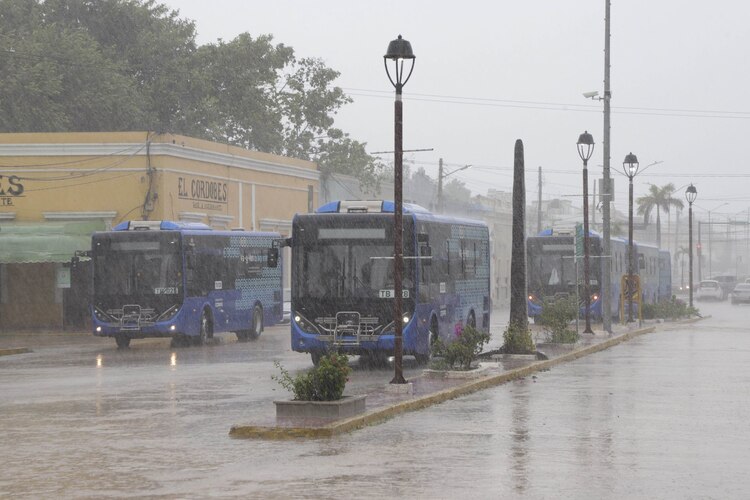 En estos estados se registrarán más lluvias en 2025.