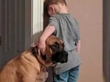 Perro se solidariza con niño castigo contra la pared