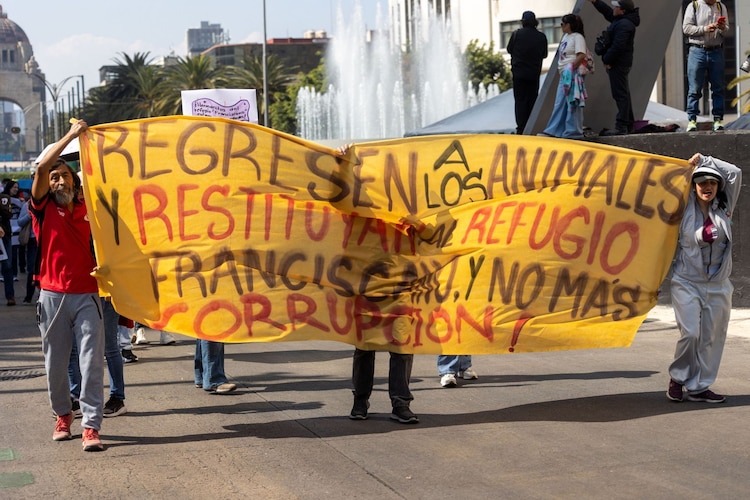 CIUDAD DE MÉXICO, 11ENERO2026.- Ciudadanos y activistas por los derechos de los animales marcharon para exigir la restitución del Refugio Franciscano, que hace unos días fue desalojado y sus perros y gatos reubicados a otros albergues.
