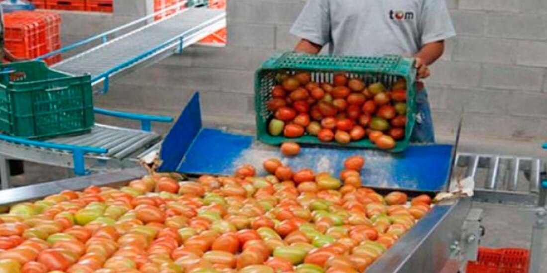 Las actividades primarias o del sector agropecuario registraron una caída de 1.1 por ciento mensual y un repunte de 8.7 por ciento en su comparación anual