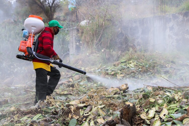Destrucción de nopales.