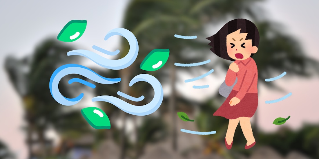 Recomiendaciones ante viento fuerte