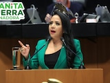 Juanita Guerra Mena, senadora del Partido Verde, promovente de la iniciativa.