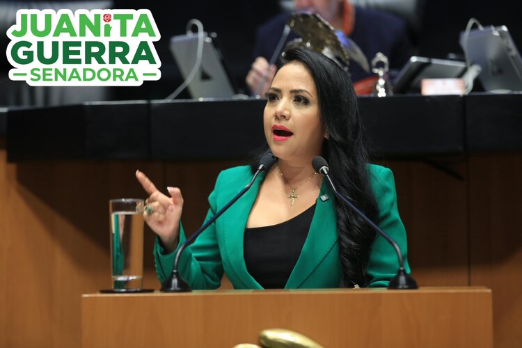 Juanita Guerra Mena, senadora del Partido Verde.