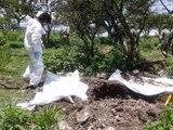 Trabajos para recuperar cuerpos en fosas clandestinas.