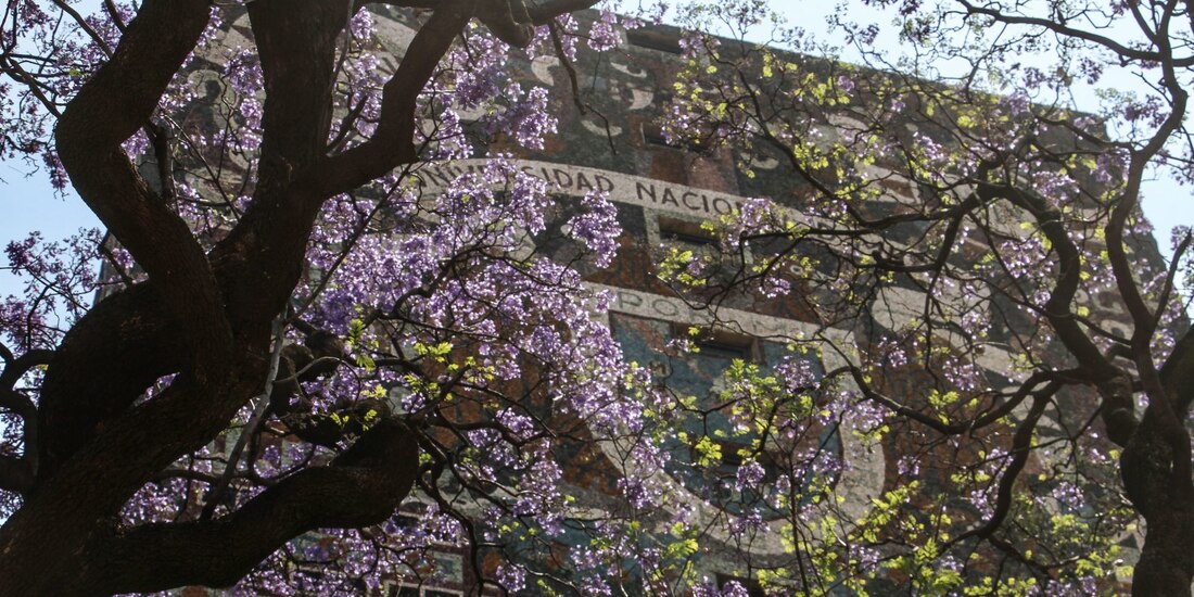 ONG alerta por déficit en el sistema de formación